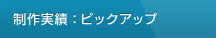 実績紹介：ピックアップ